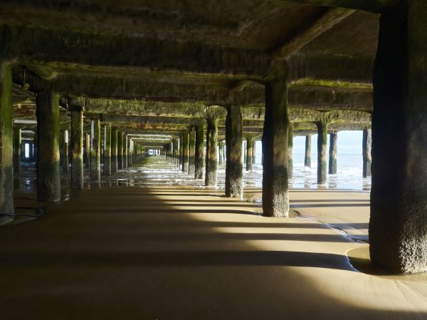 Concrete Pier Repair in Olympia